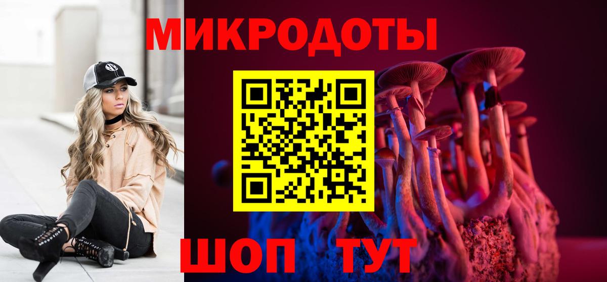 Галлюциногенные грибы Psilocybe Моршанск