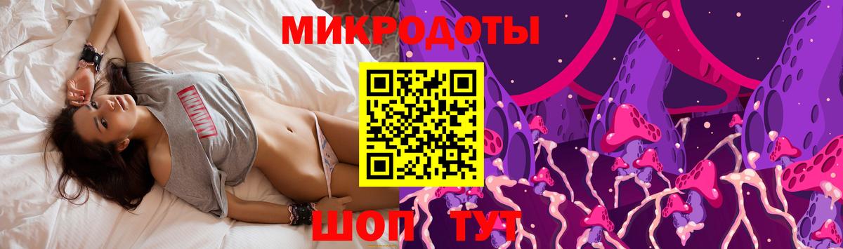 Моршанск  закладки  Вход с VPN  Псилоцибиновые грибы Psilocybe 